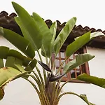 Vila Hacienda Cuatro Ventanas *