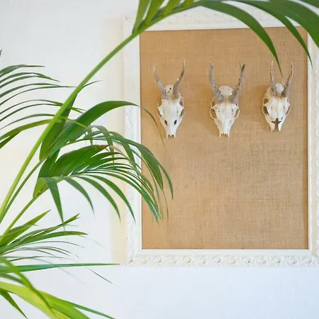 Hacienda Cuatro Ventanas