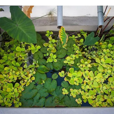 Hacienda Cuatro Ventanas Βίλα Λος Ρεαλέχος