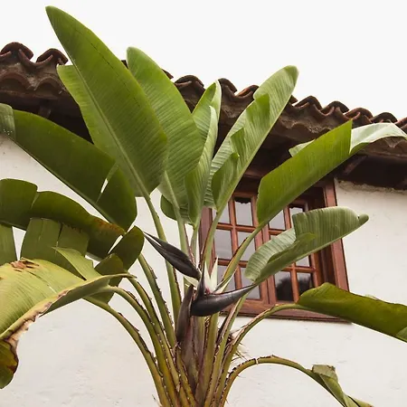 빌라 Hacienda Cuatro Ventanas *