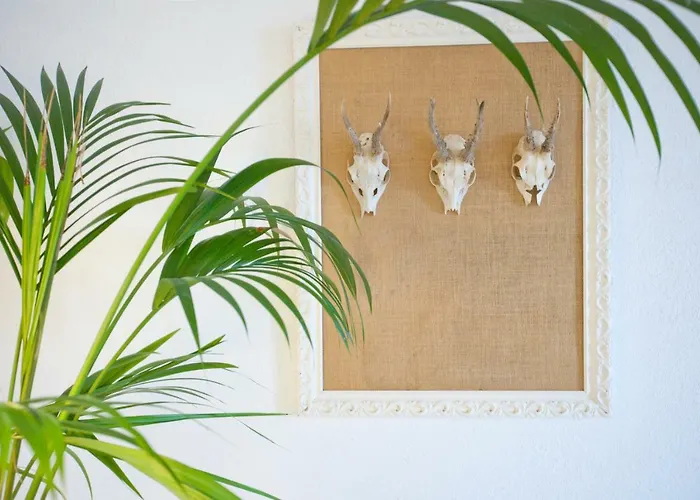 Hacienda Cuatro Ventanas