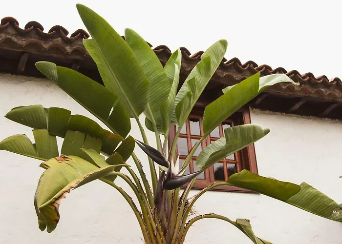 Vila Hacienda Cuatro Ventanas *