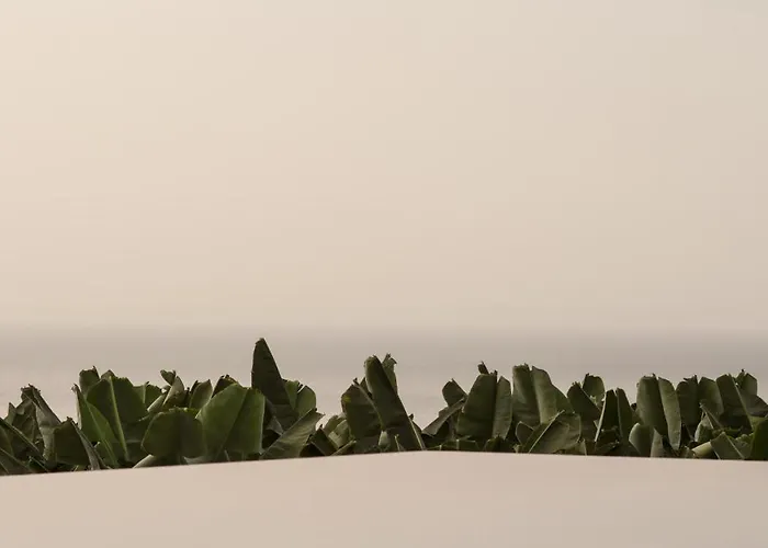 Hacienda Cuatro Ventanas *