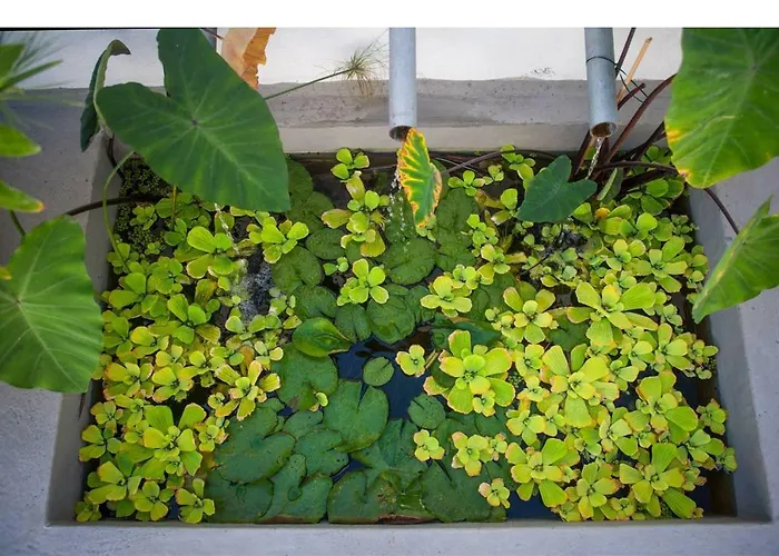 Hacienda Cuatro Ventanas 빌라 로스 레알레호스