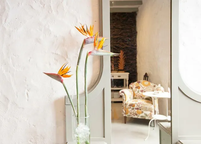 Hacienda Cuatro Ventanas 로스 레알레호스